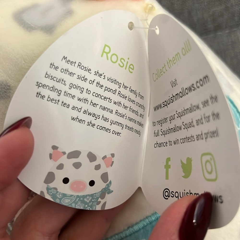 Rosie the Pig Squishmallow Toy - Picture 3 of 3